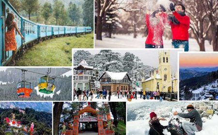 Shimla Manali Tour Package from Delhi: Book Your Himachal Trip