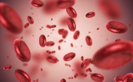 Understanding Anemia in Dubai: Symptoms, Causes, and Treatments