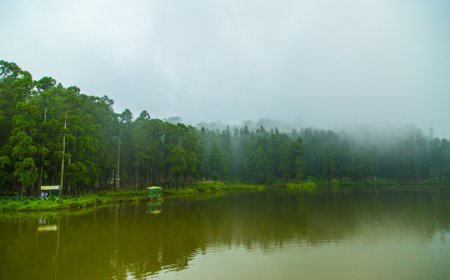 Why Darjeeling is the Perfect Mountain Getaway