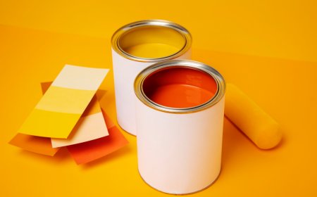 Professional Painting Services in Georgia and Deck Staining and Painting Services Top Quality Painting Solutions for Your Home