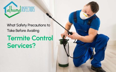 Prevent the Silent Destroyers The Essential Role of Termite Inspections