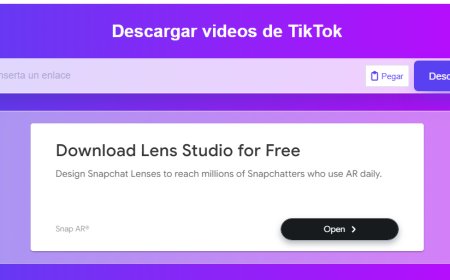 Descargar Videos de TikTok