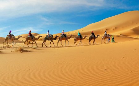 Witness Desert Beauty with a Sunrise Camel Ride Dubai Tour