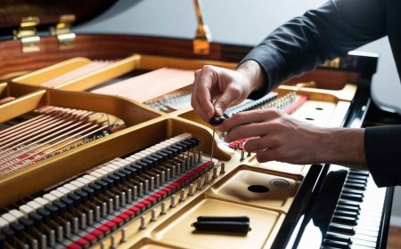 Why professional piano movers brisbane are essential for safe relocation