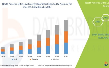 North America Ultra Low Freezers Market Expands with Rising Need for Biopharma Cold Storage
