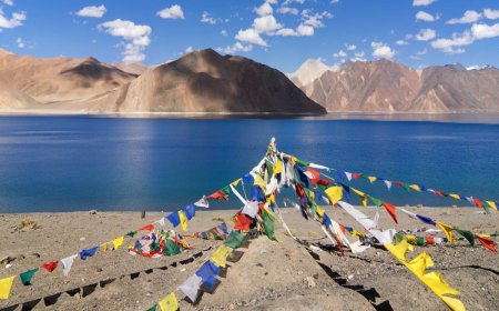 A Complete Travel Guide from Delhi to Ladakh by Road