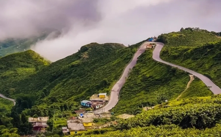 Darjeeling Tour Packages under 10000: Explore Himalayan Beauty