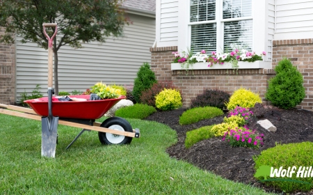 Designing Tranquility: Landscaping in Manassas, VA That Brings Peace Home
