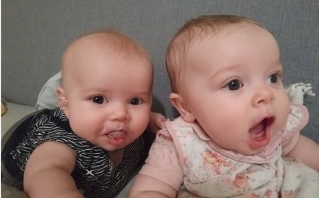 Understanding Nebulizers: Benefits, Uses, and How to Choose the Right One