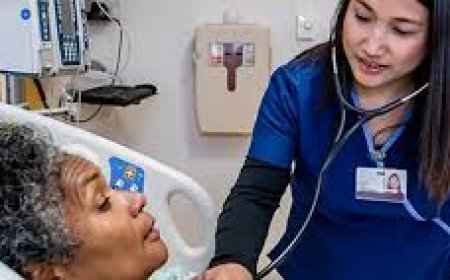 Mastering Nursing Education: Insights into NURS FPX and Academic Excellence with MSN Writing Services