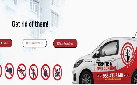 Protect Your Home with Confidence: Expert Rodent Control in Laredo, TX