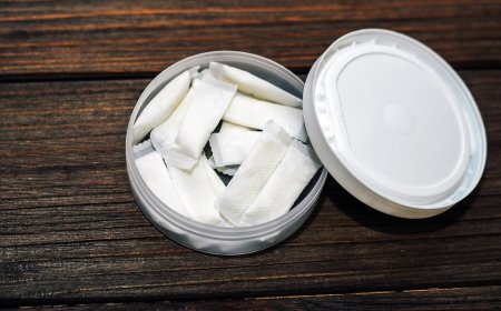 Establishing a Nicotine Pouches Manufacturing Plant Report 2025, Project Cost Details