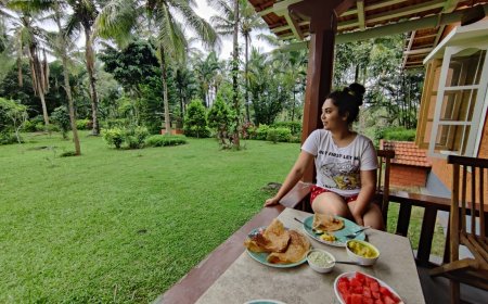 Explore Nature & Serenity with Best Coorg Tour Packages