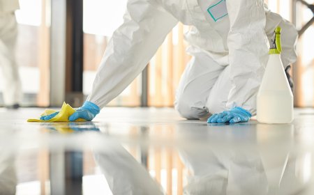 Floor Care Services Buncombe County, NC