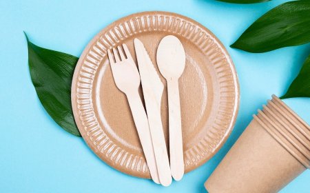 Machinery Requirements for Setting Up a Bagasse Based Biodegradable Cutlery Manufacturing Plant