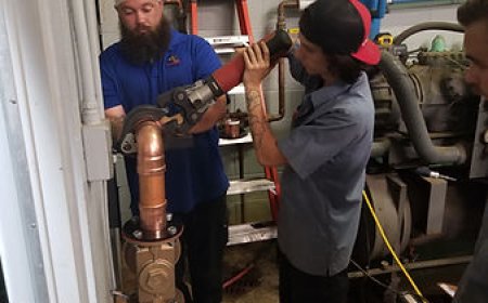 Reliable Plumbing Services in Durham Bizzy Bee Plumbing Experts