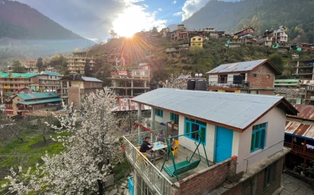 Romantic Escape with the Perfect Manali Honeymoon Package