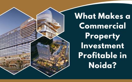 What Makes a Commercial Property Investment Profitable in Noida?