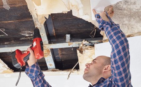 Water Damage Restoration What You Need to Know