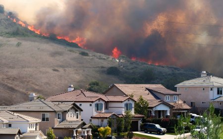 Fire Damage Restoration What You Need to Know