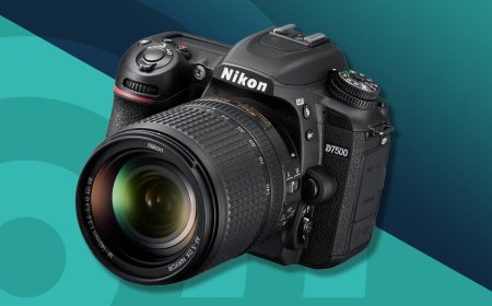 Number-One Camera for Content Producer What to Buy to Take Great Photos-and Videos