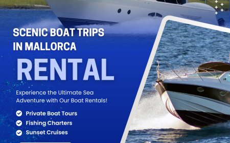 What Must You Expect From Majorca Water Sports?