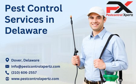 Top Questions to Ask Before Hiring Pest Control in Glasgow