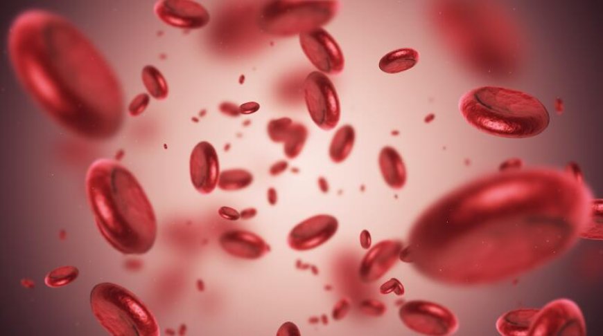 Understanding Anemia in Dubai: Symptoms, Causes, and Treatments