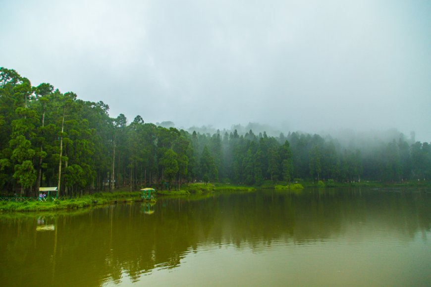 Why Darjeeling is the Perfect Mountain Getaway