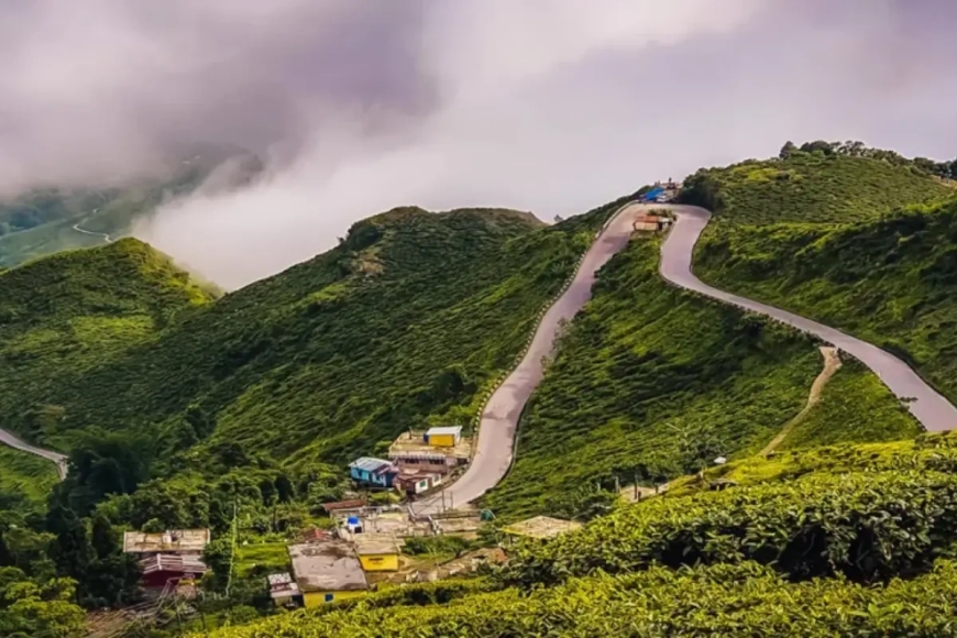 Darjeeling Tour Packages under 10000: Explore Himalayan Beauty