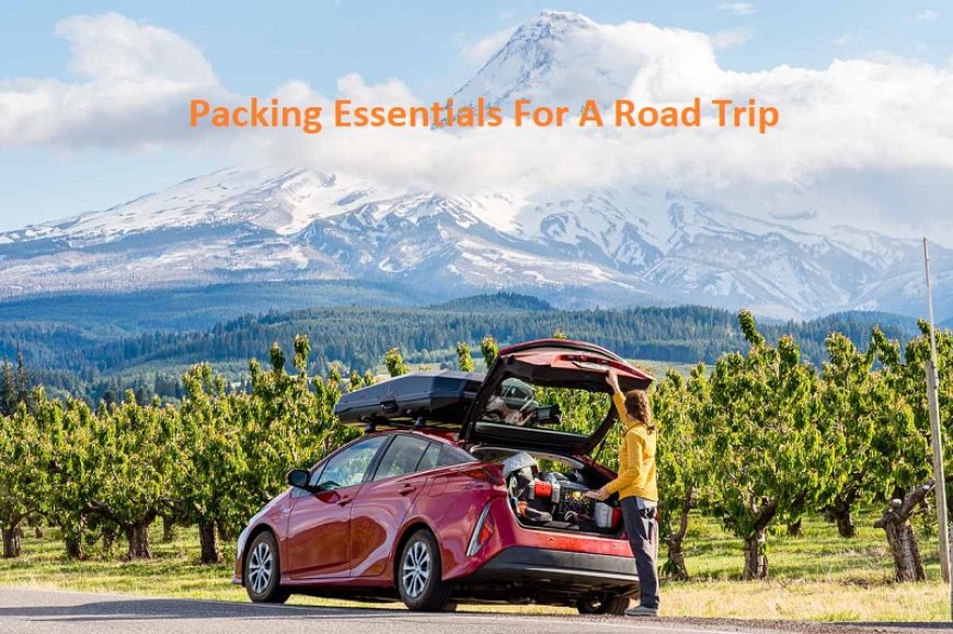 Packing Essentials For A Road Trip