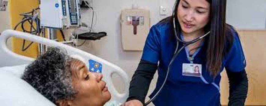 Mastering Nursing Education: Insights into NURS FPX and Academic Excellence with MSN Writing Services