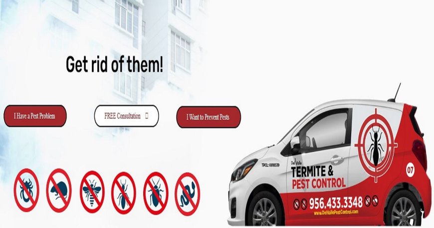 Protect Your Home with Confidence: Expert Rodent Control in Laredo, TX