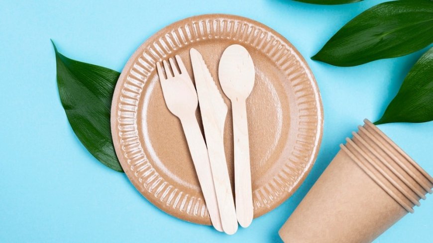 Machinery Requirements for Setting Up a Bagasse Based Biodegradable Cutlery Manufacturing Plant