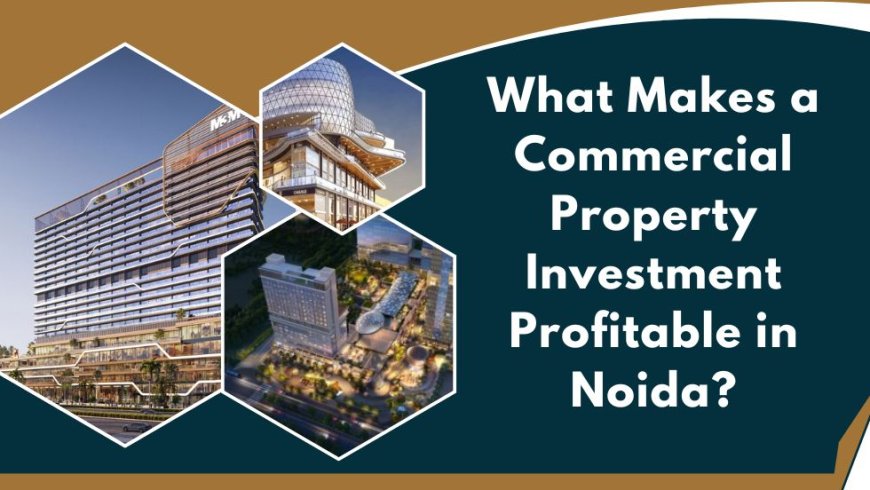 What Makes a Commercial Property Investment Profitable in Noida?