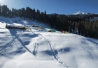 Kedarkantha Trek Guide (2025): Easy, Snowy & Unforgettable