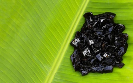 Top 7 Health Benefits of Using Pure Shilajit Daily