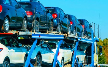 California Car Shipping - Transport Master USA