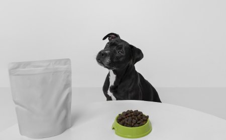 Dog Cleanup Made Easy with Smart Tools