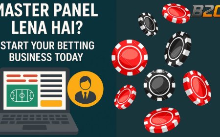 Is B2CPanel the Best Master Panel Provider?