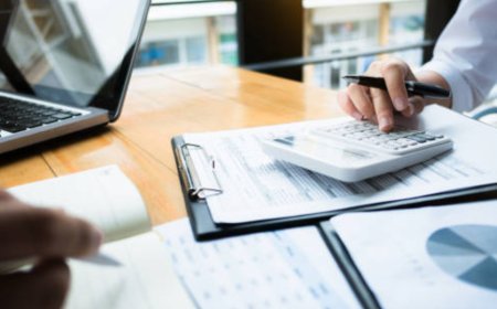 A Guide to the Top Accounting Firms NZ and the Importance of a Financial Statement in NZ