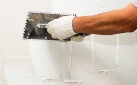 Finding the Right Plasterers in Auckland: What You Need to Know