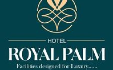 Make Your Stay Unforgettable at the Best Hotel in Dehradun – Hotel Royal Palm