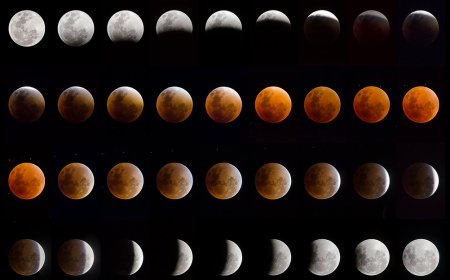 Celestial Artwork to Elevate Your Home Decor