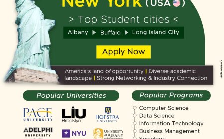 Best consultancy for USA student visa