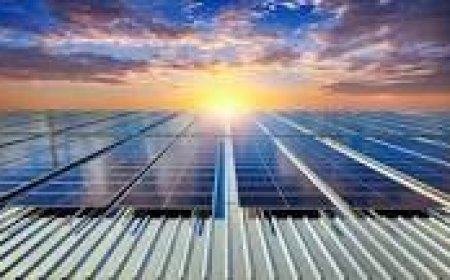 Sparkling Efficiency: Why Solar Panel Cleaning in Deer Park is Important for Businesses and Homes