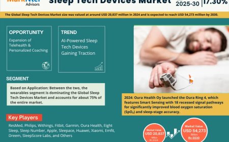 Meeting Pods Market Outlook: Size, Share, and Competitive Trends 2030