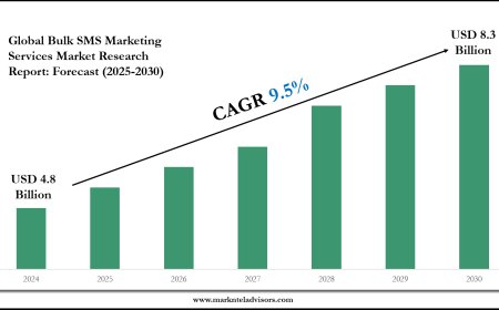 Bulk SMS Marketing Services Market Outlook: Size, Share, and Competitive Trends 2030