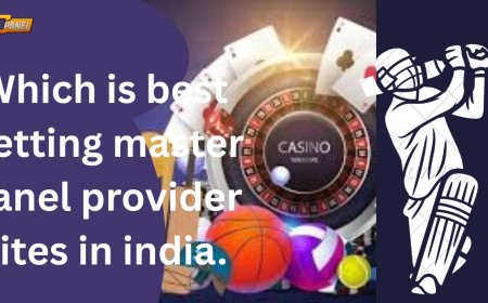 B2CPanel – Best Master Panel for Cricket Betting India