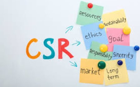 Why Hiring a CSR Consultant in Ghaziabad is Essential for Your Company’s Social Impact